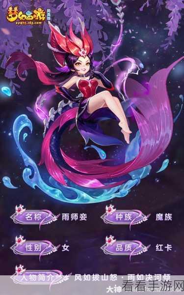 梦幻西游网页版，雨师妾洞天幻境通关秘籍大揭秘