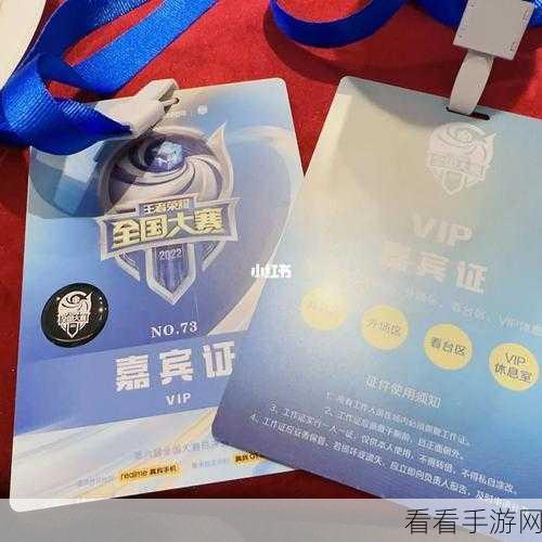 王者荣耀VV战队豪华招募，梦泪领衔，共赴荣耀征途
