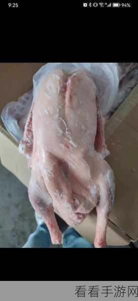揭秘鹅鸭杀中加拿大鹅的终极策略，掌握生存与胜利的关键