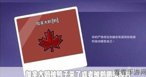 揭秘鹅鸭杀中加拿大鹅的终极策略，掌握生存与胜利的关键