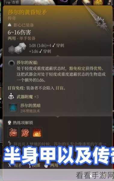 圣兽之王解放者皮带，解锁传奇装备的全面攻略