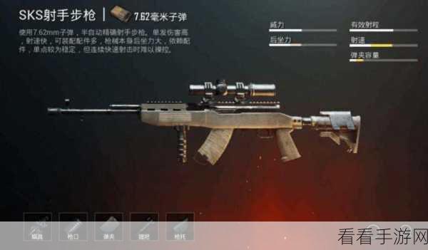和平精英顶尖枪械揭秘，556步枪排行大比拼
