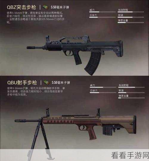 和平精英顶尖枪械揭秘，556步枪排行大比拼