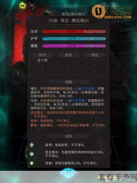 地下城堡3深度攻略，揭秘秘境尾声弗拉梅尔之战必胜策略