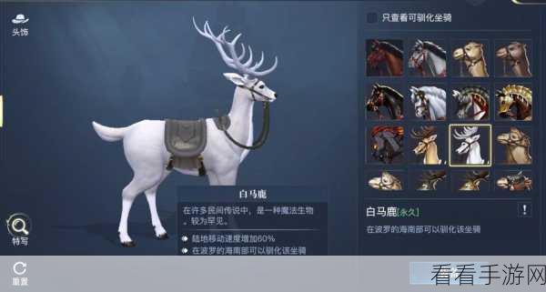 黎明之海，钓鱼得坐骑秘籍，全坐骑获取攻略大揭秘