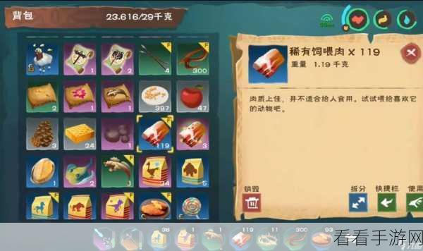 手游资讯，揭秘创造与魔法顽皮蝾螈刷新机制与捕捉攻略