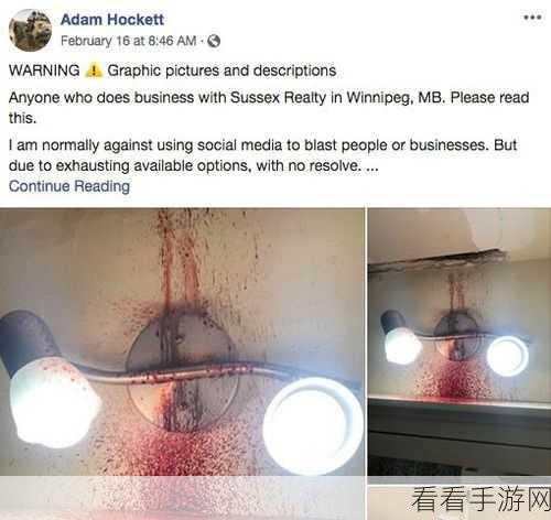 揭秘天花板之下，不为人知的隐藏结局全攻略及赛事细节