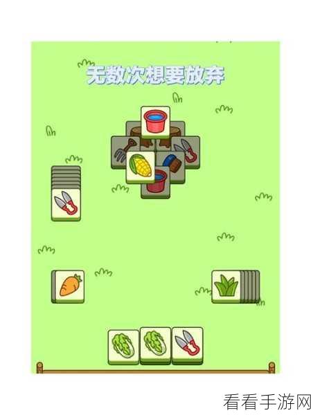 羊了个羊第二关终极攻略，详解通关技巧与视频教学