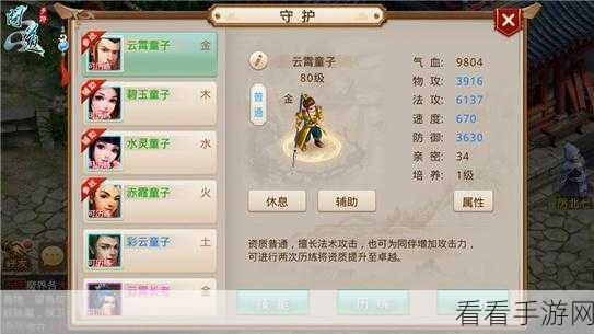 手游深度解析，揭秘随从属性成长的奥秘
