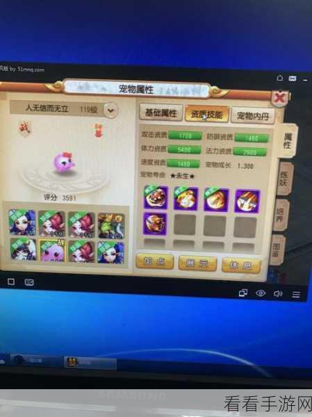 手游深度解析，揭秘随从属性成长的奥秘