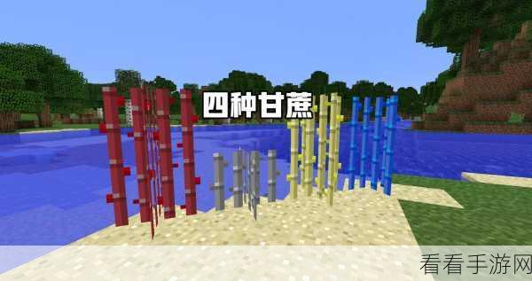 手游我的世界甘蔗全解析，多样用途与独特价值揭秘，更有精彩赛事等你挑战！