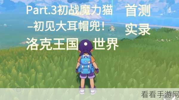 洛克王国手游最新进展曝光，精彩赛事与玩法细节大揭秘