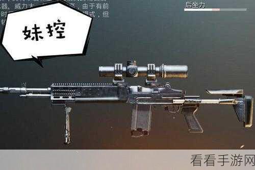 传奇再现！大菠萝枪顶级武器深度剖析与实战应用