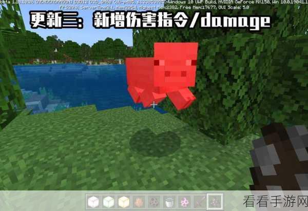 我的世界青蛙卵孵化秘籍，打造萌宠小青蛙的全方位指南
