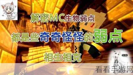 我的世界F3坐标无法显示？终极解决方案大揭秘！