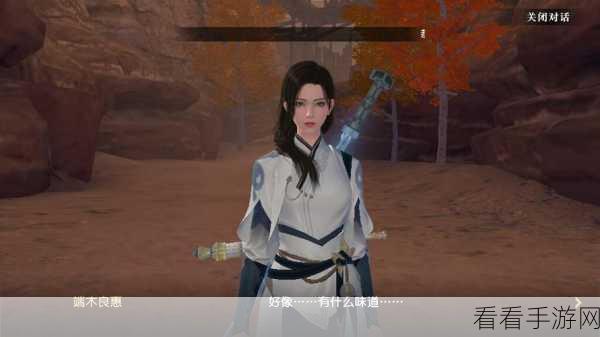 魅力解锁！全面攻略，如何与女性NPC深度互动，探索手游世界的无限可能