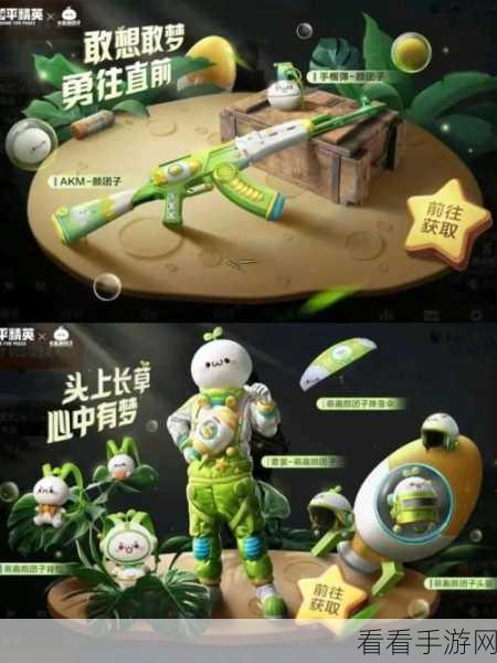 和平精英萌趣颜团子套装全攻略，解锁技巧与赛事细节揭秘