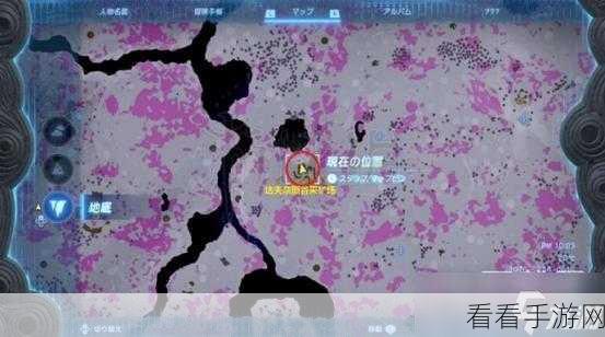塞尔达王国之泪深度探索，拉聂尔山鸟望台全攻略及隐藏宝藏揭秘