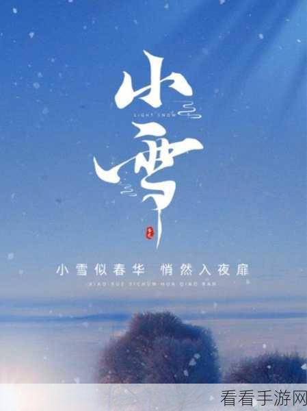 极无双2小雪节气庆典，独家礼包码与精彩活动大揭秘