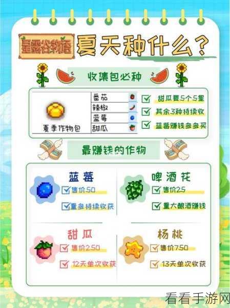 星露谷物语，揭秘大米布丁食谱获取攻略，神秘商店购买全解析