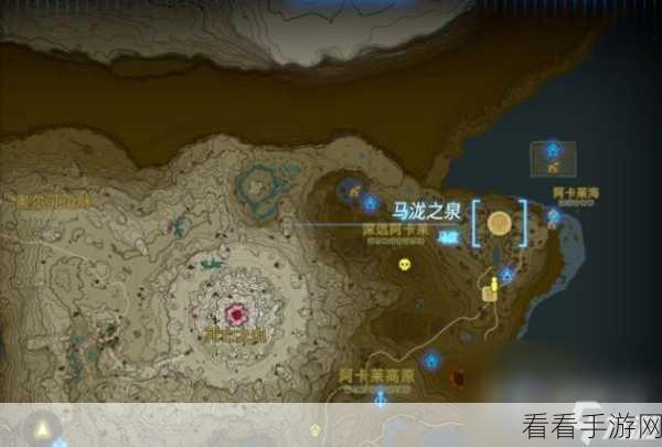 塞尔达传说王国之泪，揭秘黄金马寻觅大赛，攻略详解与位置探索