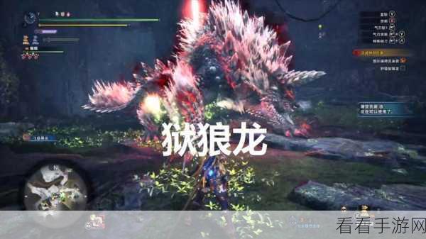 狱狼龙蛋搜寻指南，怪物猎人物语2深度探索攻略