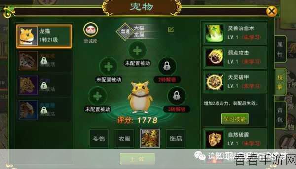 热血江湖手游深度攻略，揭秘药典宝藏，精通获取与使用秘籍