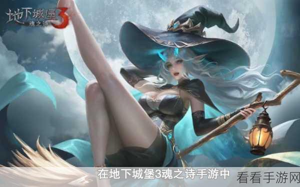 地下城堡3，魂之诗测试服深度解析——萌新必备攻略与最强阵容搭配