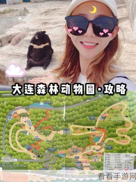 动物森林深度攻略，解锁高效升级与竞技夺冠秘籍