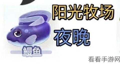 摩尔庄园鳗鱼捕捉攻略，揭秘高效捕鱼技巧，助你快速满载而归