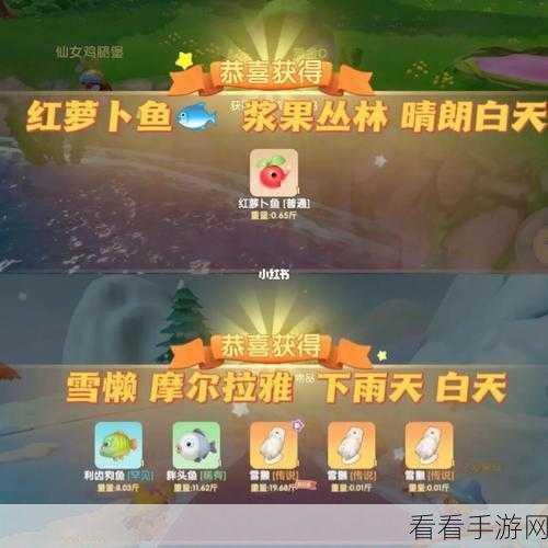 摩尔庄园鳗鱼捕捉攻略，揭秘高效捕鱼技巧，助你快速满载而归