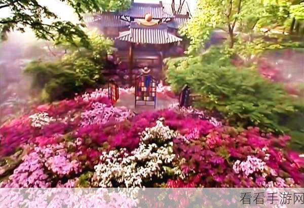 新笑傲江湖长生路，探秘黑木崖神秘坐标