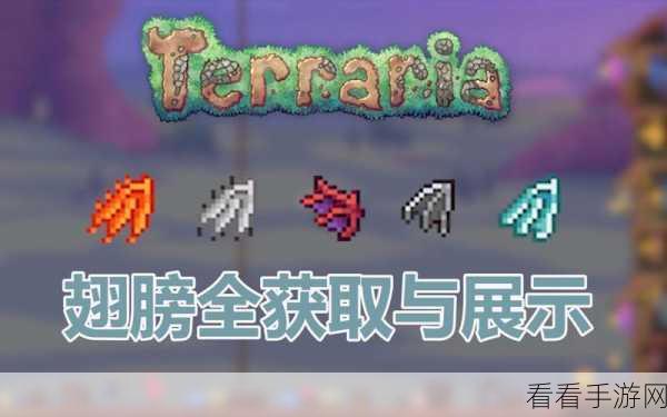 泰拉瑞亚，物品收藏终极秘籍全曝光