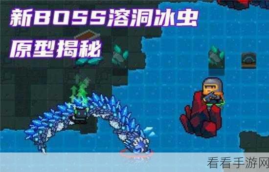 深入元气骑士，揭秘神秘溶洞探险全攻略与奇遇挑战
