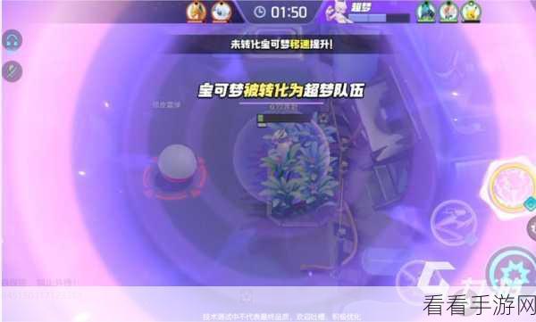 宝可梦大集结，超梦 Y 加点秘籍与实战攻略