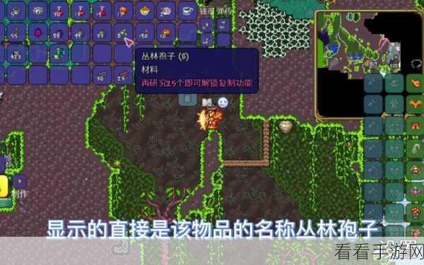泰拉瑞亚探险秘籍，高效采集蘑菇孢子全攻略