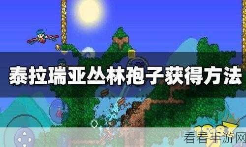 泰拉瑞亚探险秘籍，高效采集蘑菇孢子全攻略