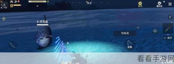 妄想山海坐骑技能大揭秘，绝佳搭配秘籍全掌握