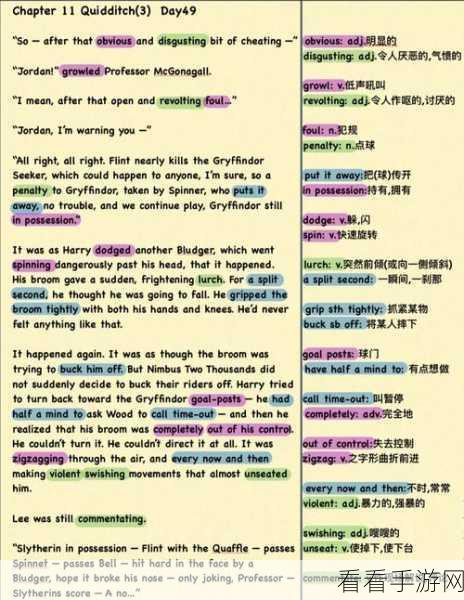魁地奇飞鹰试炼全解析，哈利波特魔法觉醒飞行大赛夺冠秘籍