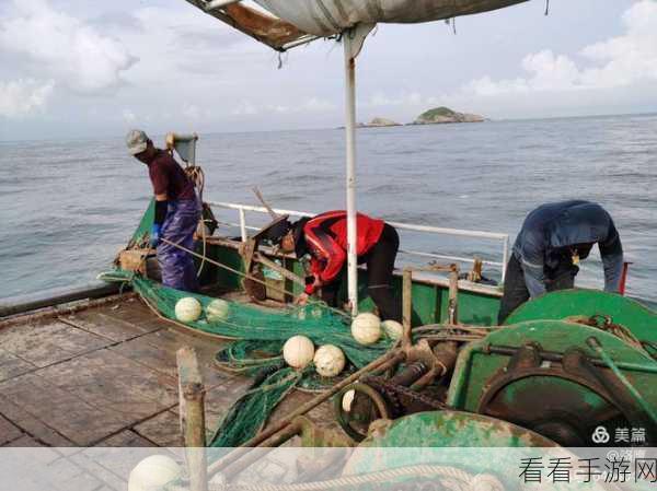 泰拉瑞亚深海奇遇，全面探索大海的秘密与宝藏