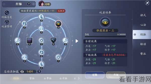 天涯明月刀手游新手宝典，资源最大化利用策略全揭秘