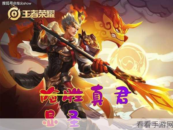 盾山勇夺荣耀称号，登顶标获取秘籍大公开