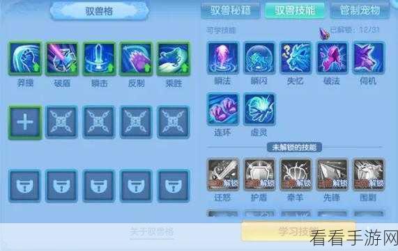神武4手游深度攻略，打造顶级宠物伙伴的秘籍