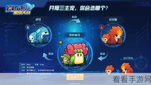 星球重启，周年新区星球之恋浪漫启程，全要素攻略大揭秘