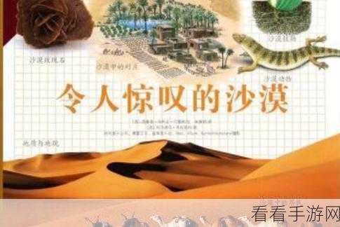 锁链战记，探秘 A 级武器的获取秘籍与深度解析