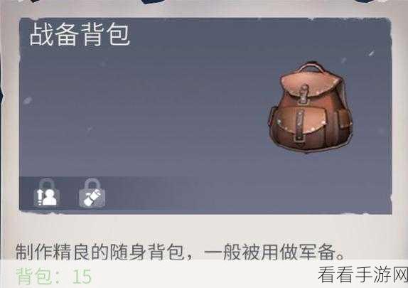 冰原守卫者，顶尖武器排行与升级秘籍，征服极寒之地的必备攻略