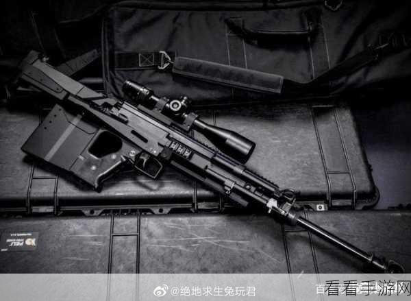 绝地求生，顶尖枪械实战技巧与夺冠攻略大揭秘