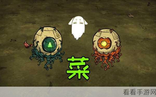 饥荒手游，揭秘眼球的神秘用途与实战攻略