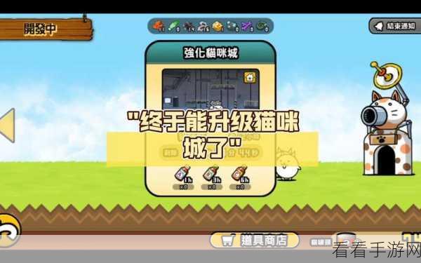 猫之城挑战模式5-6深度攻略，解锁高效通关秘籍