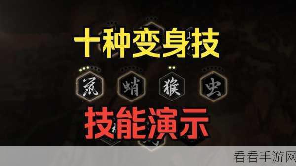 黑神话，悟空行者腿绷效果深度剖析与全新腿部强化技能震撼揭秘